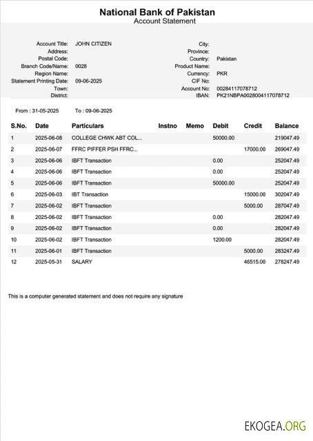 Modèle Word et PDF de relevé de compte de la Banque nationale du Pakistan du Pakistan, version 2
